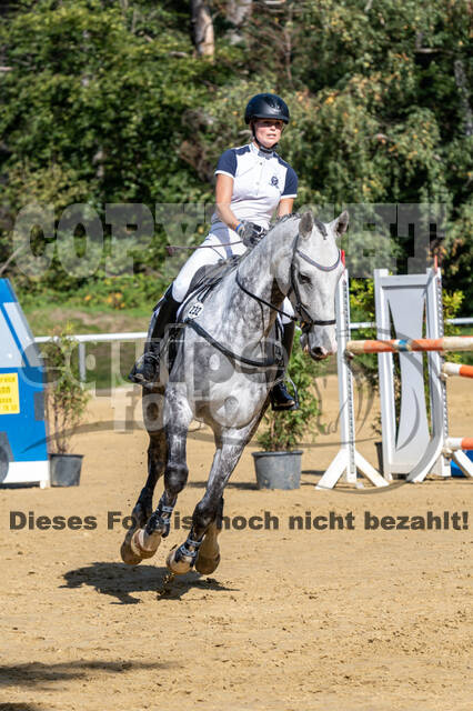 RFV Dinslaken-Hiesfeld (Herbstturnier)