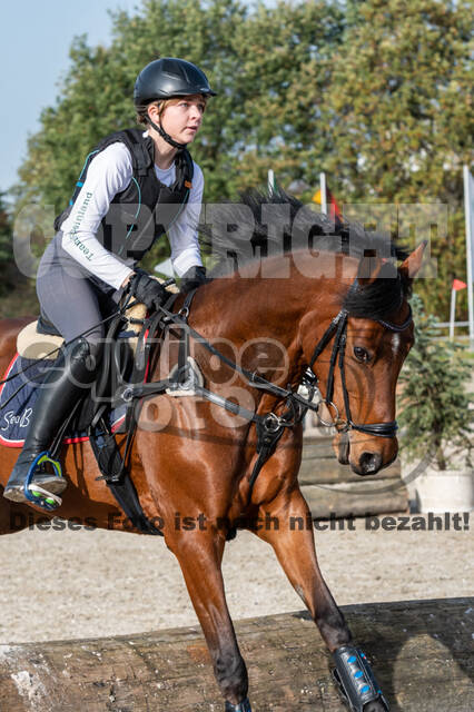 IGV Lehrgang der Sieger der Cups mit Frank Ostholt