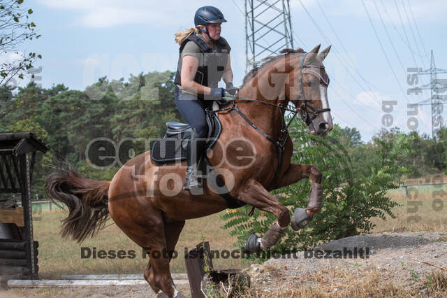 Hunter Geländetraining (16.08.2020)