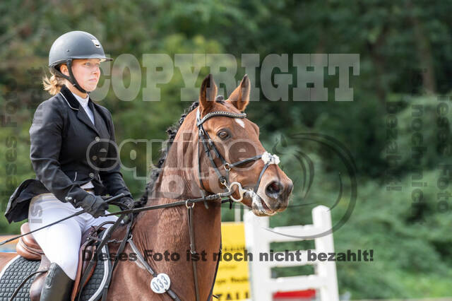 Vielseitigkeit RSV Wesel Obrighoven (26.+27.09.2020)