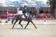 FEI European Championship