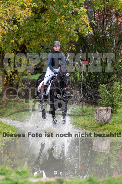 Goldene Schärpe 2020 - Pferde