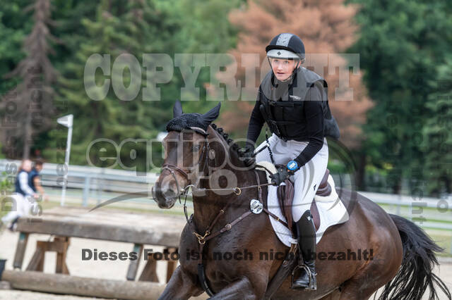 Late-Entry-Vielseitigkeit Langenfeld (11.+13./14.06.2020)