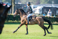 De Peelbergen (August 2020)