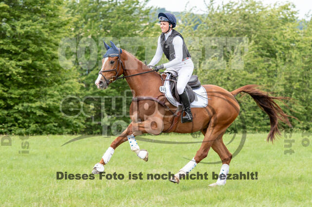 Bonn-Rodderberg Late-Entry-Vielseitigkeit (30.06.2020)