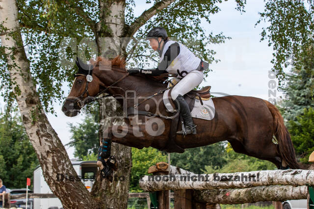 Late-Entry Vielseitigkeit Hamminkeln/Wesel (01.+02.08.2020)