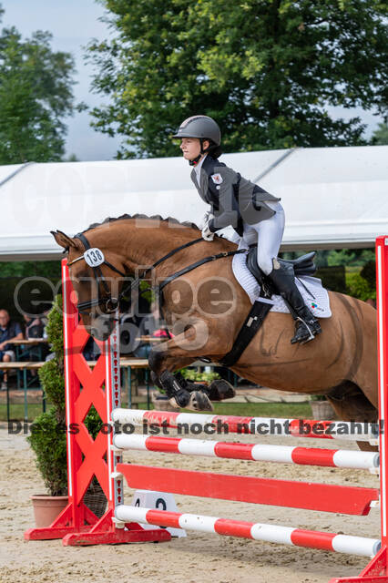Goldene Schärpe 2021 - Ponys