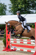 Goldene Schärpe 2021 - Ponys