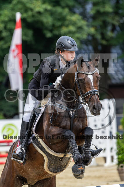 Goldene Schärpe 2021 - Ponys