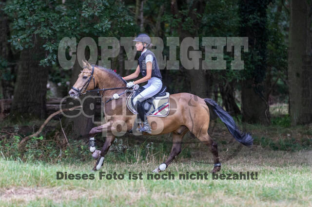 Late-Entry Vielseitigkeit Hamminkeln/Wesel (01.+02.08.2020)
