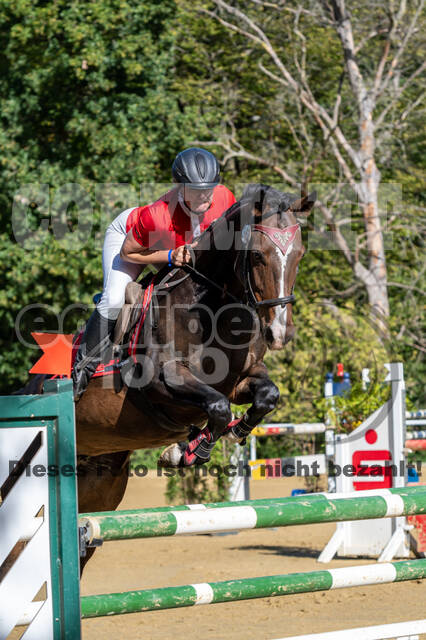 RFV Dinslaken-Hiesfeld (Herbstturnier)