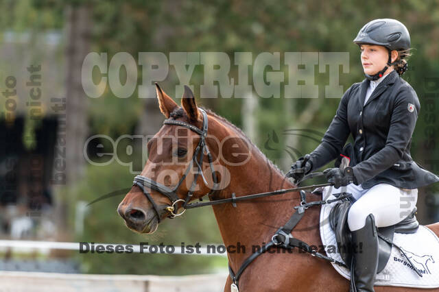 Vielseitigkeit RSV Wesel Obrighoven (26.+27.09.2020)