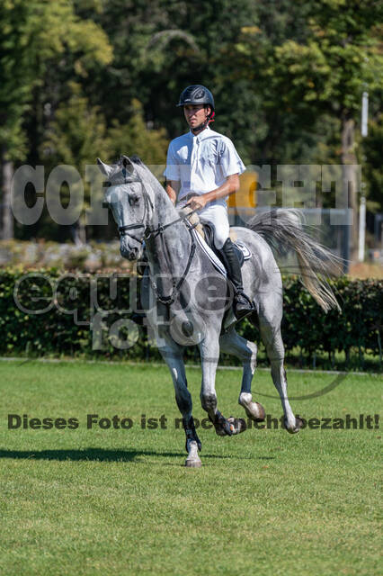 Kronenberg - De Peelbergen (August 2020)