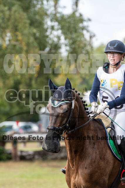 Vielseitigkeit RSV Wesel Obrighoven (26.+27.09.2020)