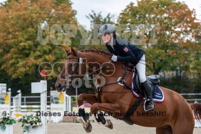 Goldene Schärpe 2020 - Pferde