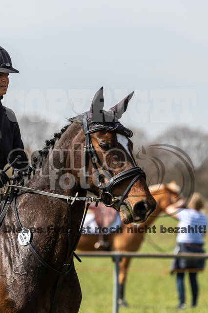 Frühjahrsvielseitigkeit RV Seydlitz Kamp
