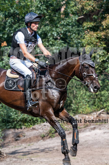 De Peelbergen (August 2020)
