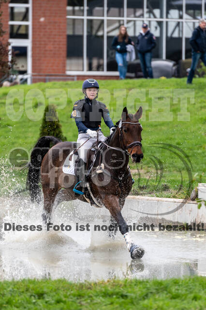 Goldene Schärpe 2020 - Pferde