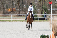 Eventing Langenfeld 2018