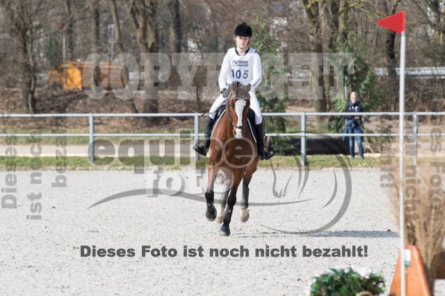 Eventing Langenfeld 2018