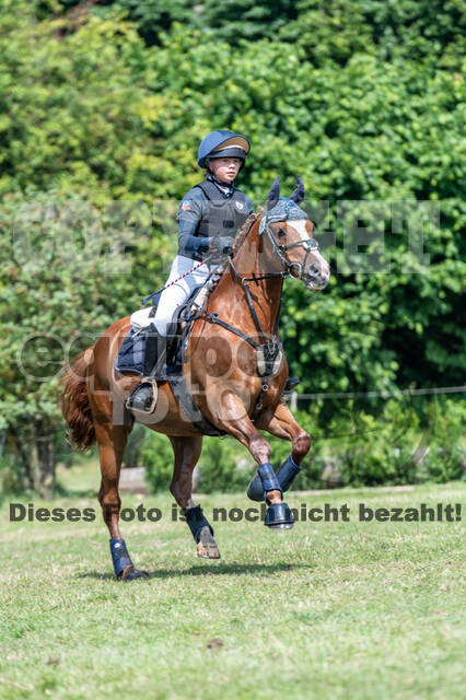 Goldene Schärpe 2021 - Ponys