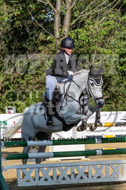 RFV Dinslaken-Hiesfeld (Herbstturnier)