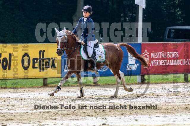 Goldene Schärpe 2021 - Ponys
