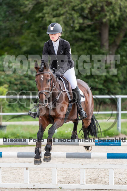 Late-Entry-Vielseitigkeit Langenfeld (06.+07.07.2020)