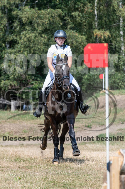 Late-Entry Vielseitigkeit Hamminkeln/Wesel (01.+02.08.2020)