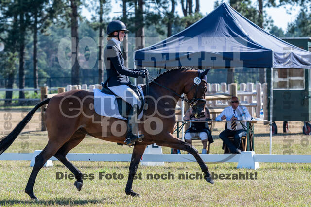 Kronenberg - De Peelbergen (August 2020)