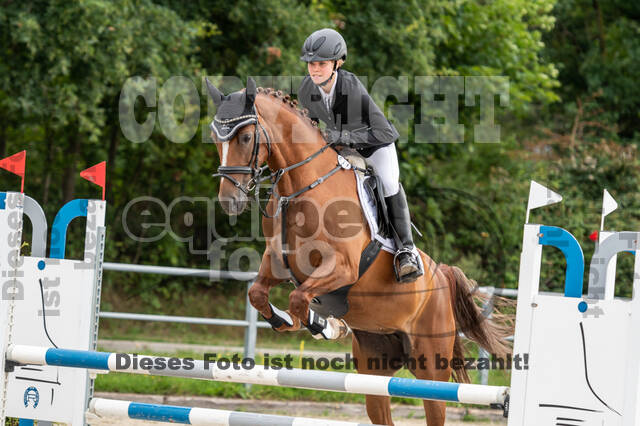 Late-Entry-Vielseitigkeit Langenfeld (06.+07.07.2020)