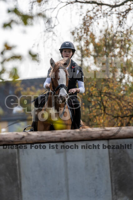 IGV Lehrgang der Sieger der Cups mit Frank Ostholt