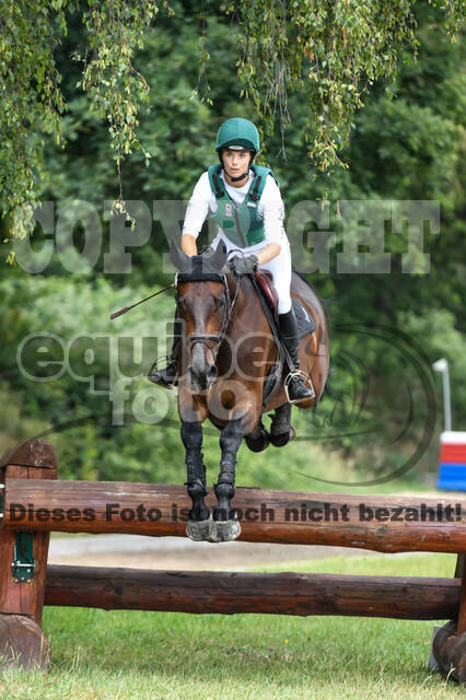 Late-Entry-Vielseitigkeit Langenfeld (11.+13./14.06.2020)