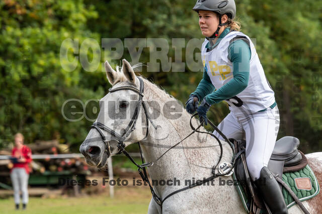 Vielseitigkeit RSV Wesel Obrighoven (26.+27.09.2020)