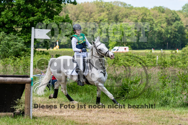 Westerstede Horse Trials (10.-13.06.2021)