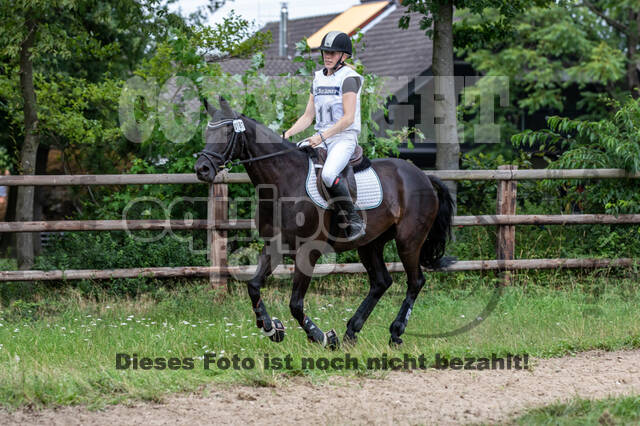 Late-Entry-Vielseitigkeit Gahlen (18.07.2020)