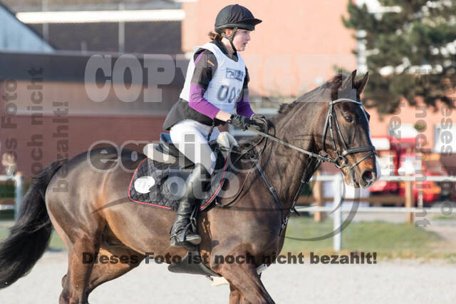 Eventing Langenfeld 2018