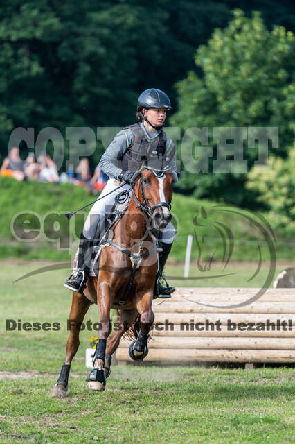 Goldene Schärpe 2021 - Ponys