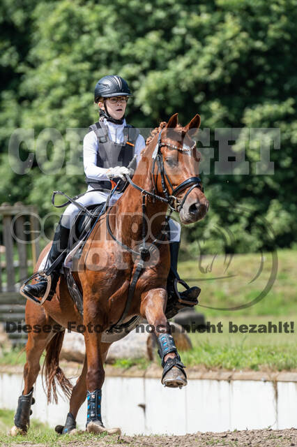 Goldene Schärpe 2021 - Ponys