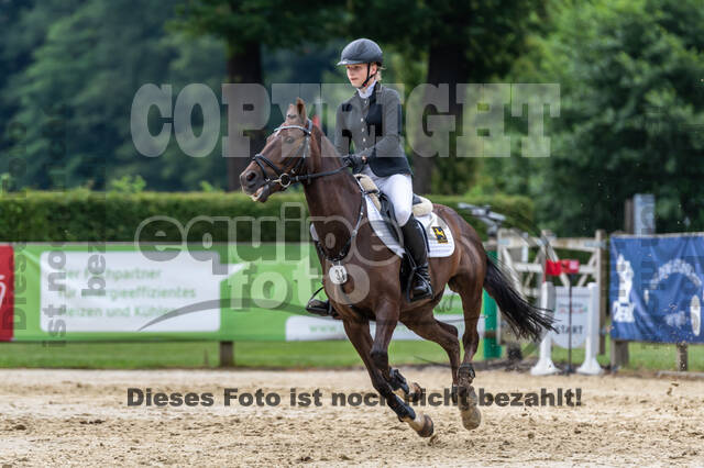 Goldene Schärpe 2021 - Ponys