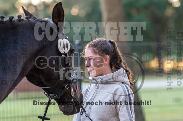 Deutsche Meisterschaft Vielseitigkeit (Luhmühlen)
