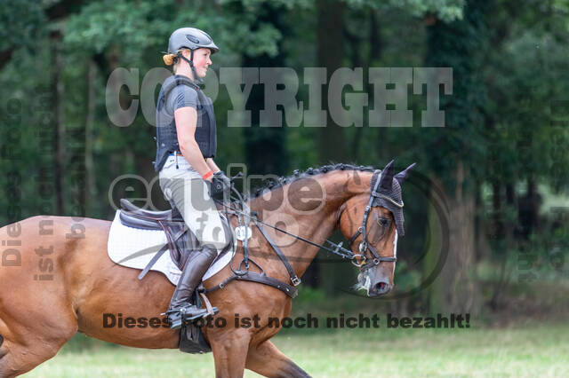 Late-Entry Vielseitigkeit Hamminkeln/Wesel (01.+02.08.2020)