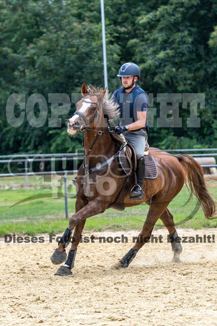 Hunter Geländetraining 10.07.2021 (Sonsbeck)