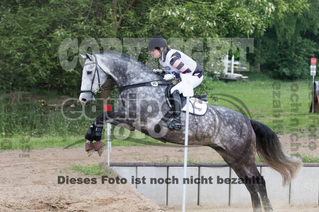 Vielseitigkeitsturnier ZRFV von Lützow Hamminkeln