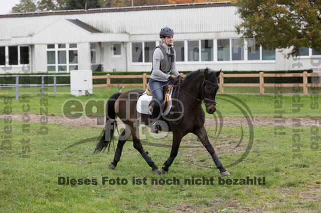 IGV Lehrgang der Sieger der Cups mit Frank Ostholt
