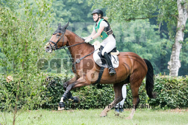 RFV Bad Honnef