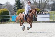 Eventing Langenfeld 2018