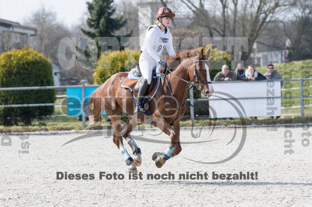 Eventing Langenfeld 2018