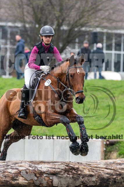 Goldene Schärpe 2020 - Pferde