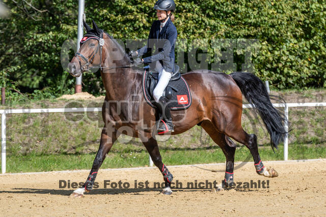 RFV Dinslaken-Hiesfeld (Herbstturnier)